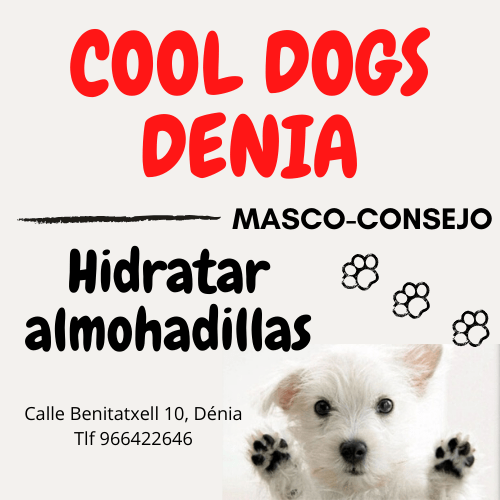 Hidratar las almohadillas de nuestras mascotas