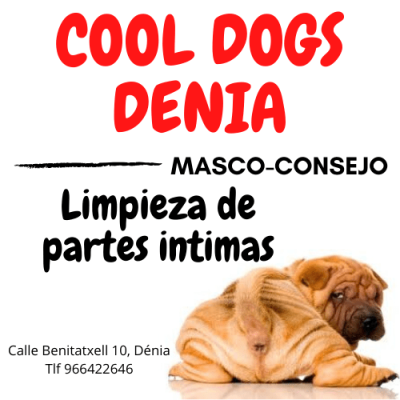Limpiezas de partes intimas de tu mascota