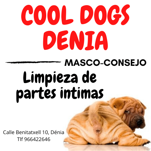 Limpiezas de partes intimas de tu mascota