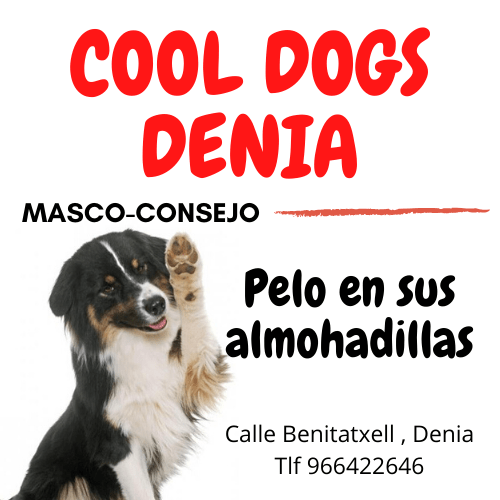 Pelo en sus almohadillas de tu mascota