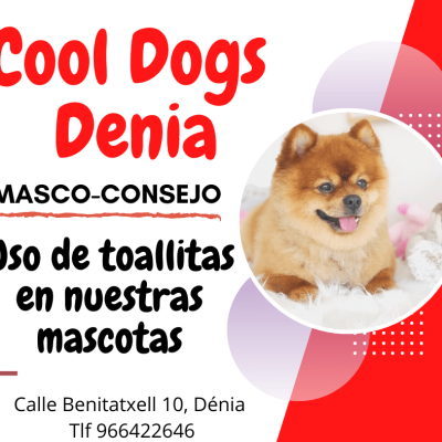 Uso de toallitas en los perros